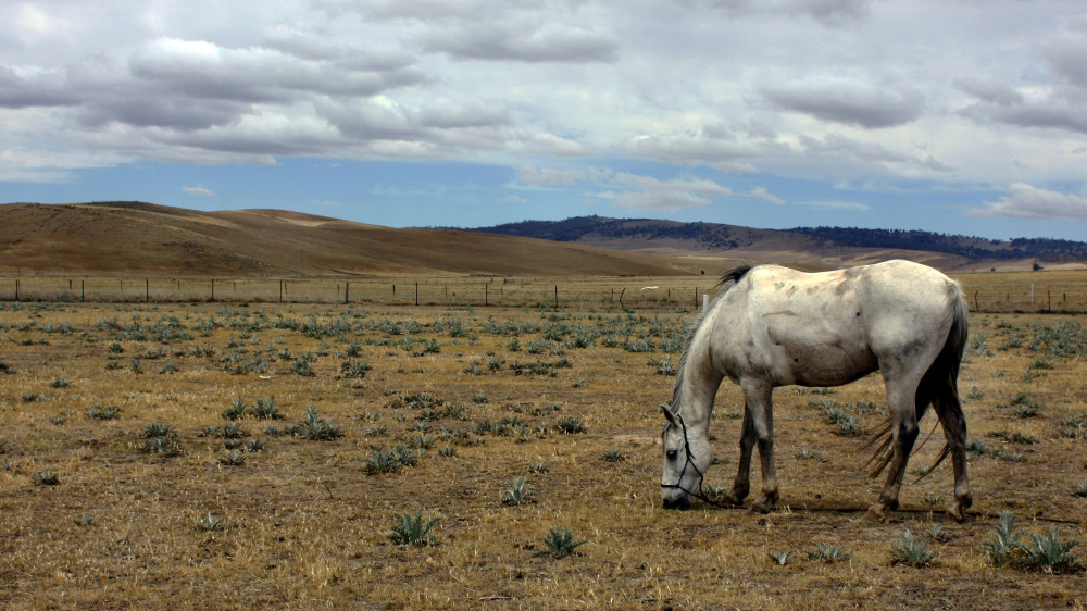 Фото: depositphotos.com